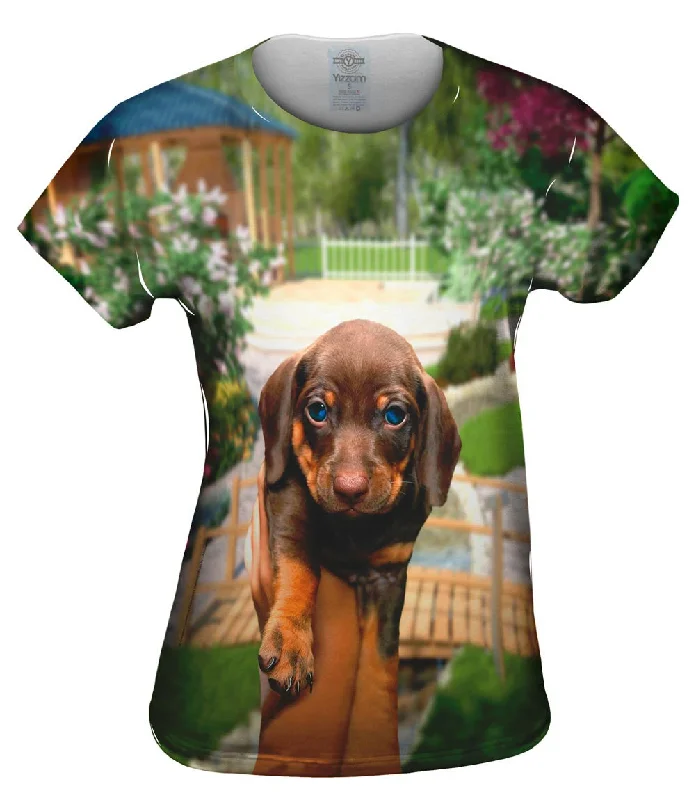 While Supplies Last Tiny Dachshund Showcase