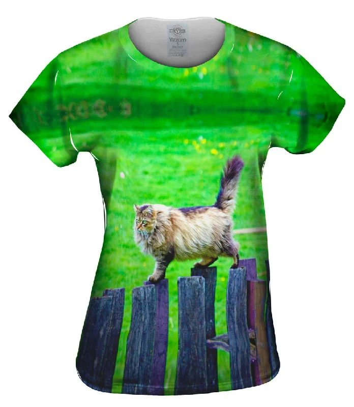 Year-End Sale Sure Footed Cat