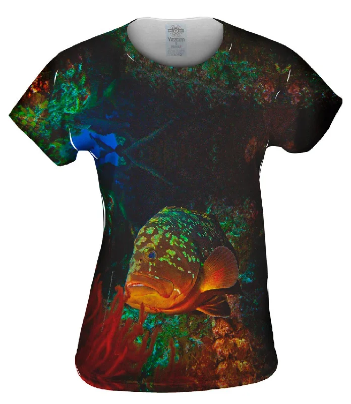 Doorbuster Deal Timide Fish Underwater