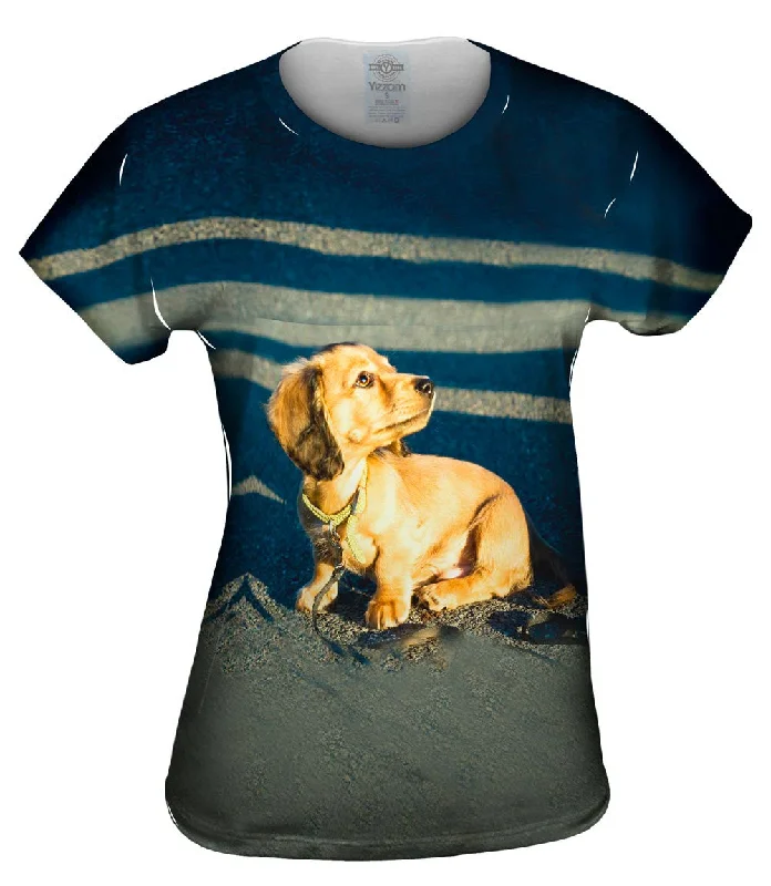 Holiday Sale Tiny Dachshund Woof