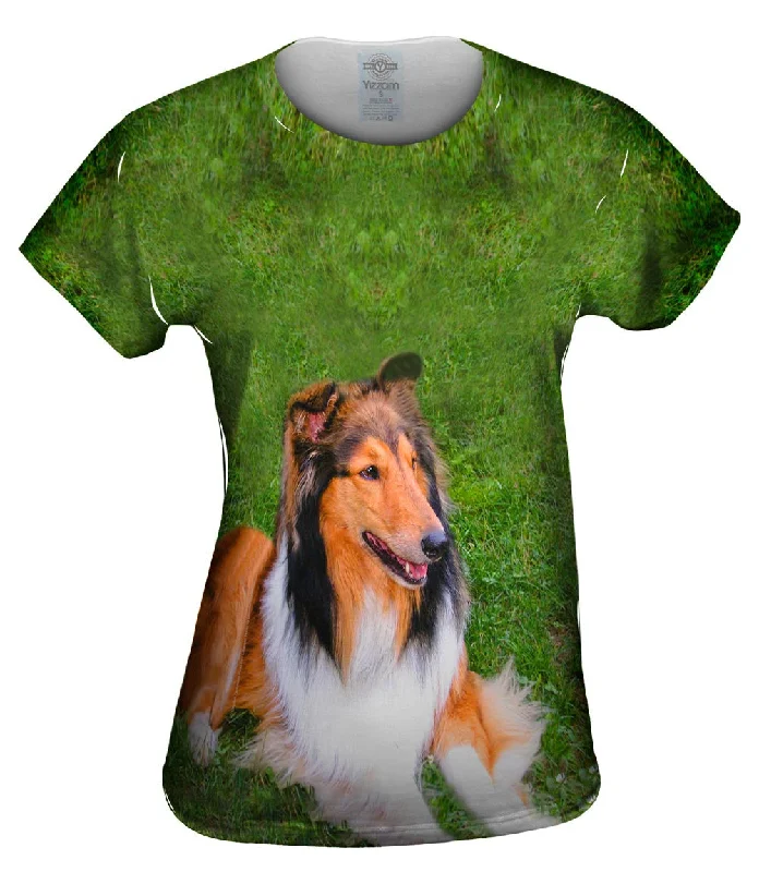 Mega Deal Thirsty Collie
