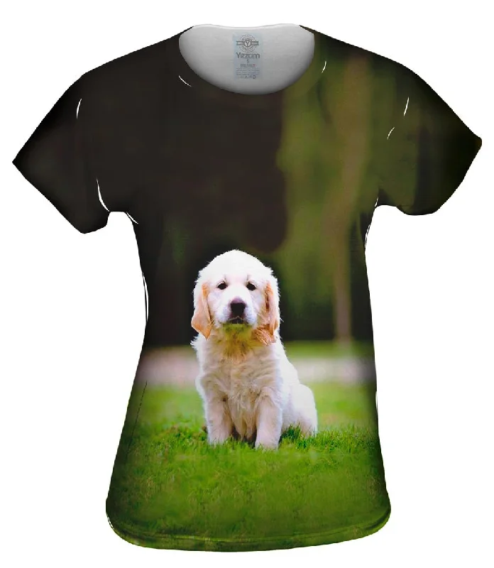 Seasonal Sale Tiny Puppy Retriever