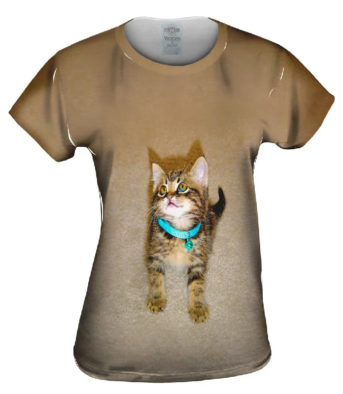 Super Deal Tireless Kitty Cat