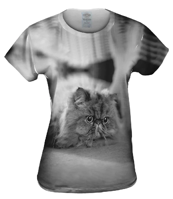Weekend Discounts to Delight Transfixed Kitty Cat