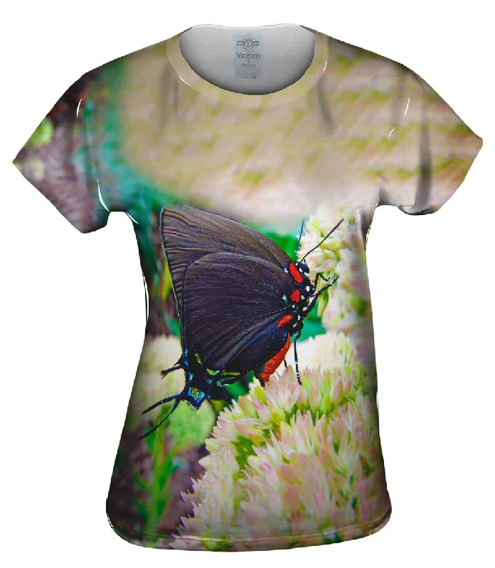 Huge Savings Unusual Bloom Butterfly