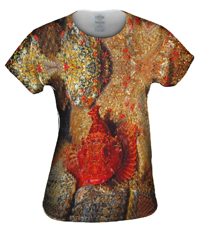 Exclusive Savings Tout Terrain Fish Underwater