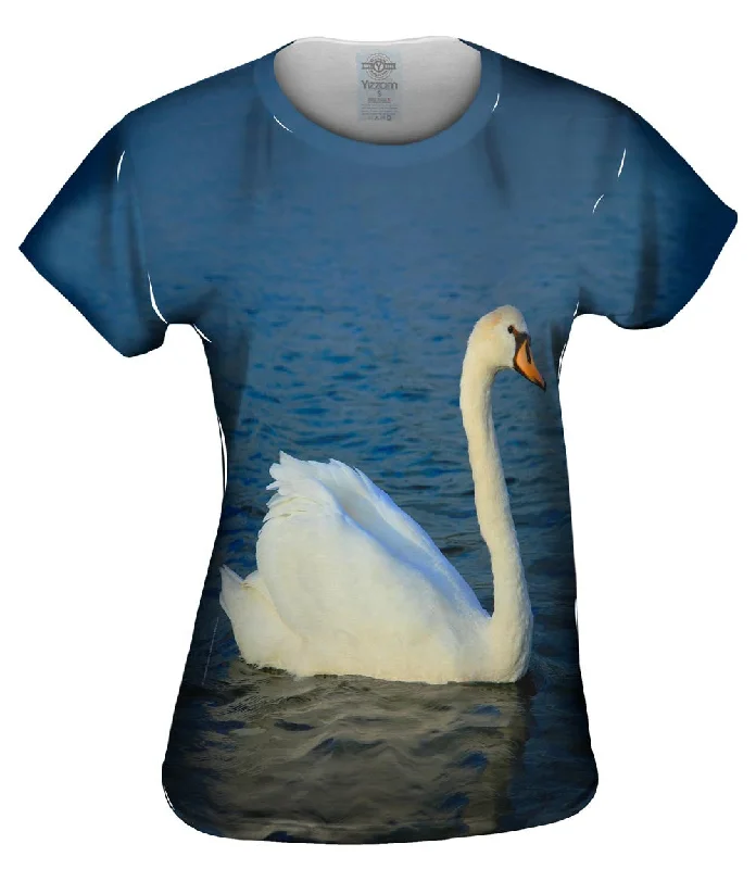 Super Bargain Swan Lake