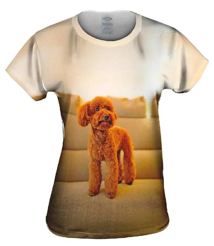 Weekend Specials to Delight Toy Poodle Watching Closely