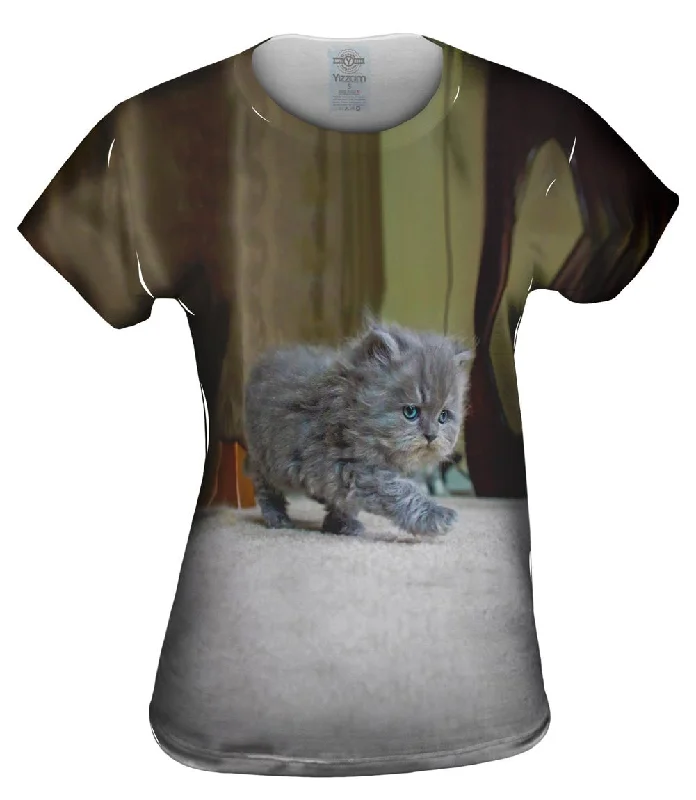 Discount Deals Strut Kitty Cat