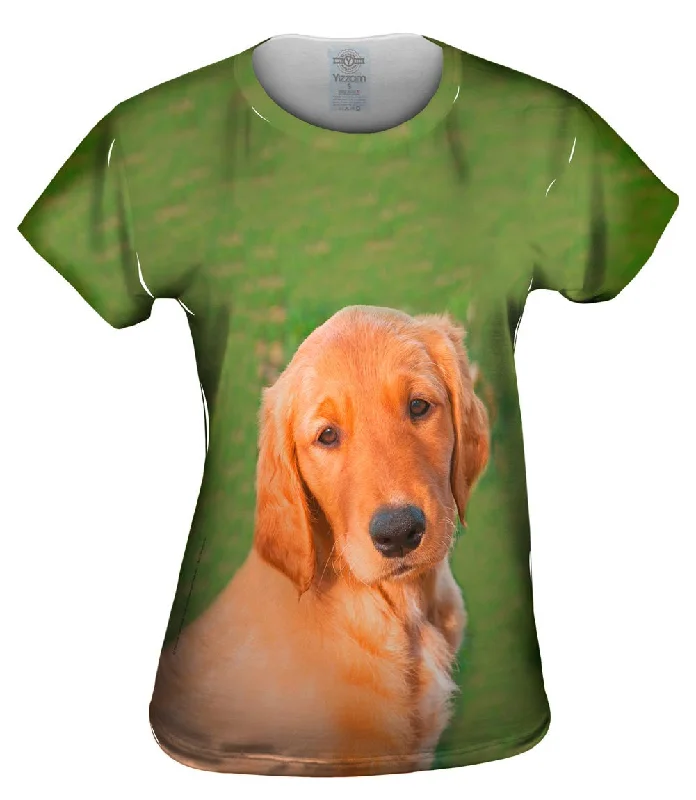 Weekend Deals That Wow Sunny Golden Lab