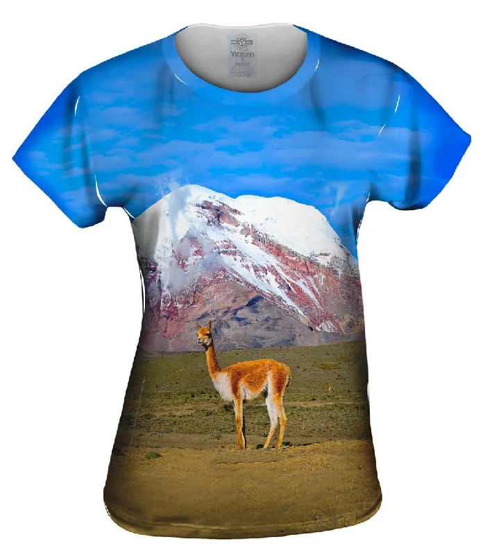 Anniversary Sale Vicuna Chimborazo