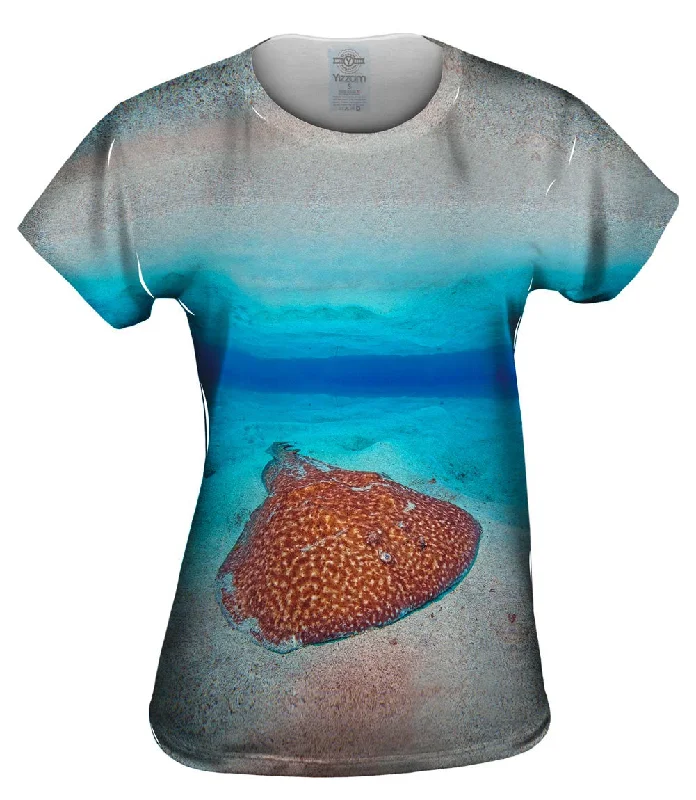 Massive Deals Torpedo Marmorata Underwater