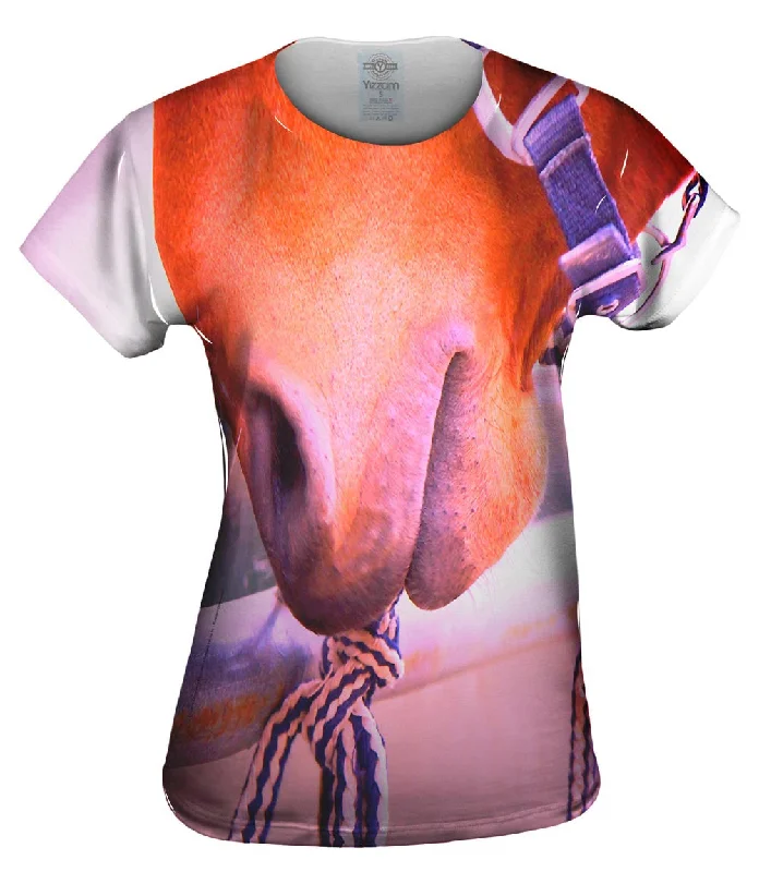 Deal of the Day Tug Horse