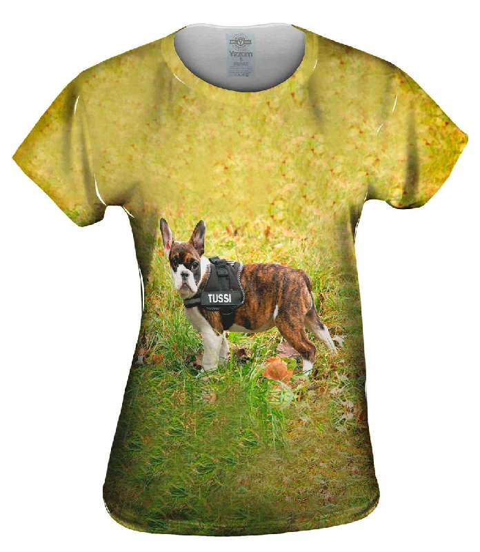 Big Deal Tussi French Bulldog