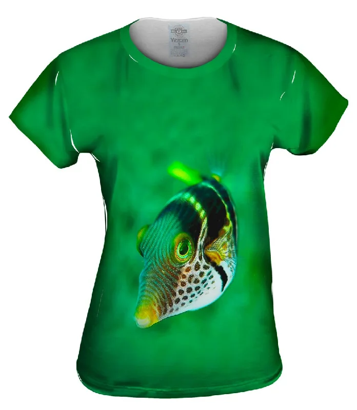 Lowest Prices Valentini Fish Stare Underwater