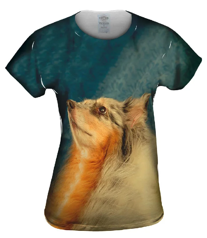 Weekend Deal Stoic Sheltie