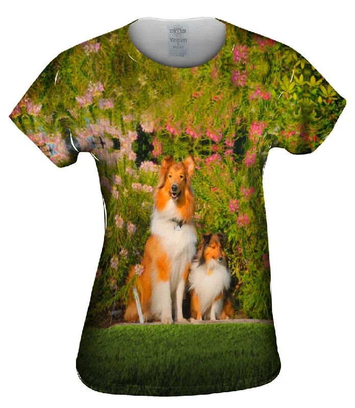 Weekend Offers That Thrill Summer Collie