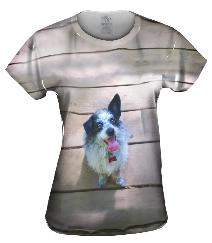 Savings Galore Sparkling Dog On Deck