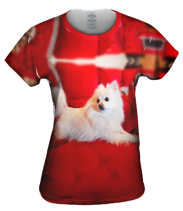 Weekend Steals Await Super Pomeranian