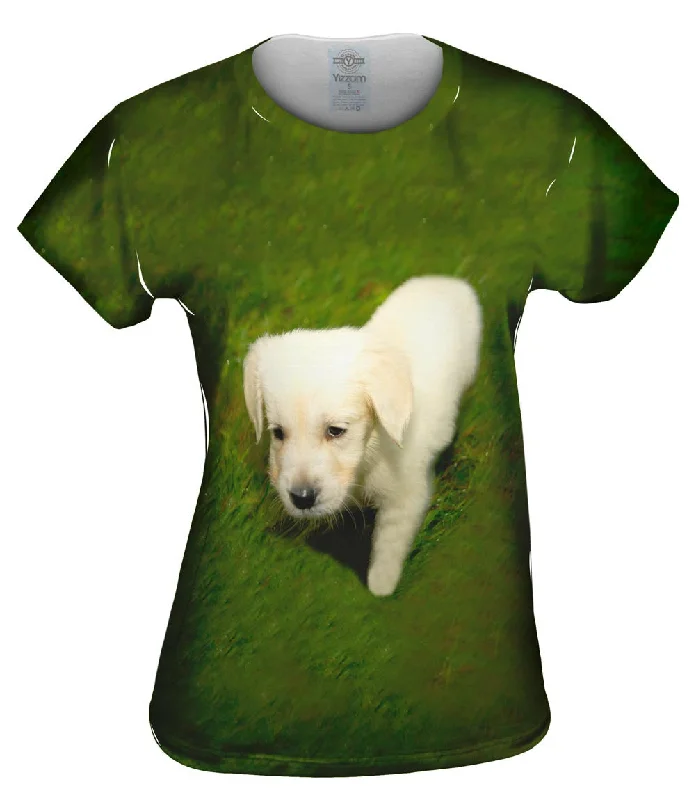 Weekend Offers That Amaze Tread Lightly White Lab