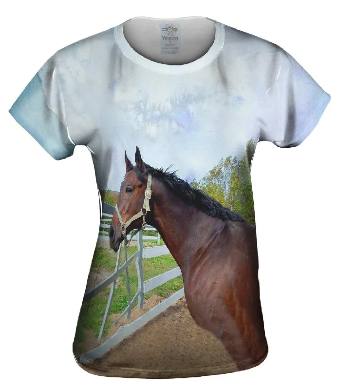 Deal Zone Thoughtful Stable Horse
