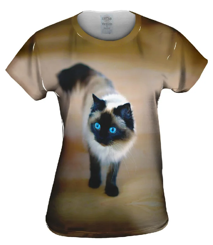 Crazy Deals Spooked Kitty Cat